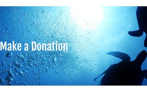 Petisi dan Donasi Pelestarian Laut
